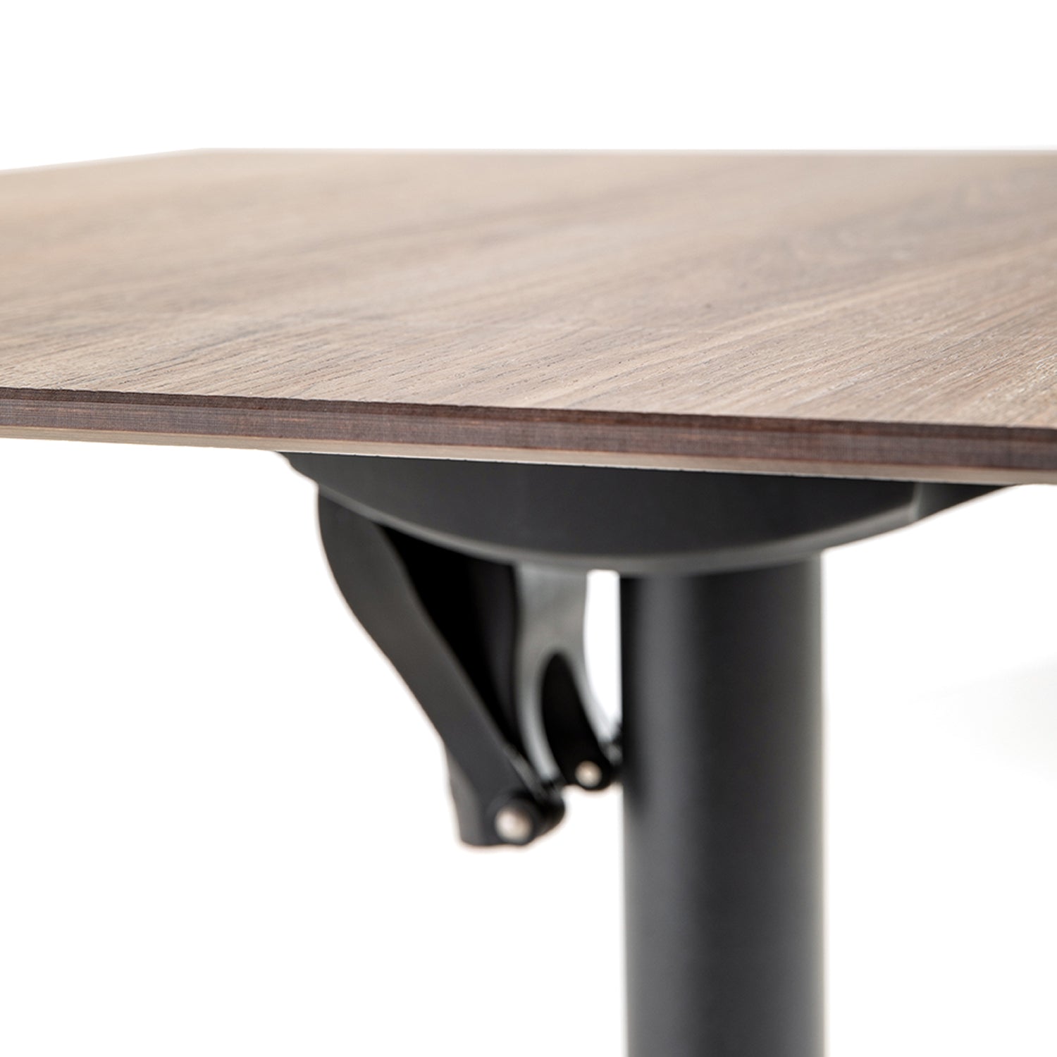 #couleur_Walnut Touch