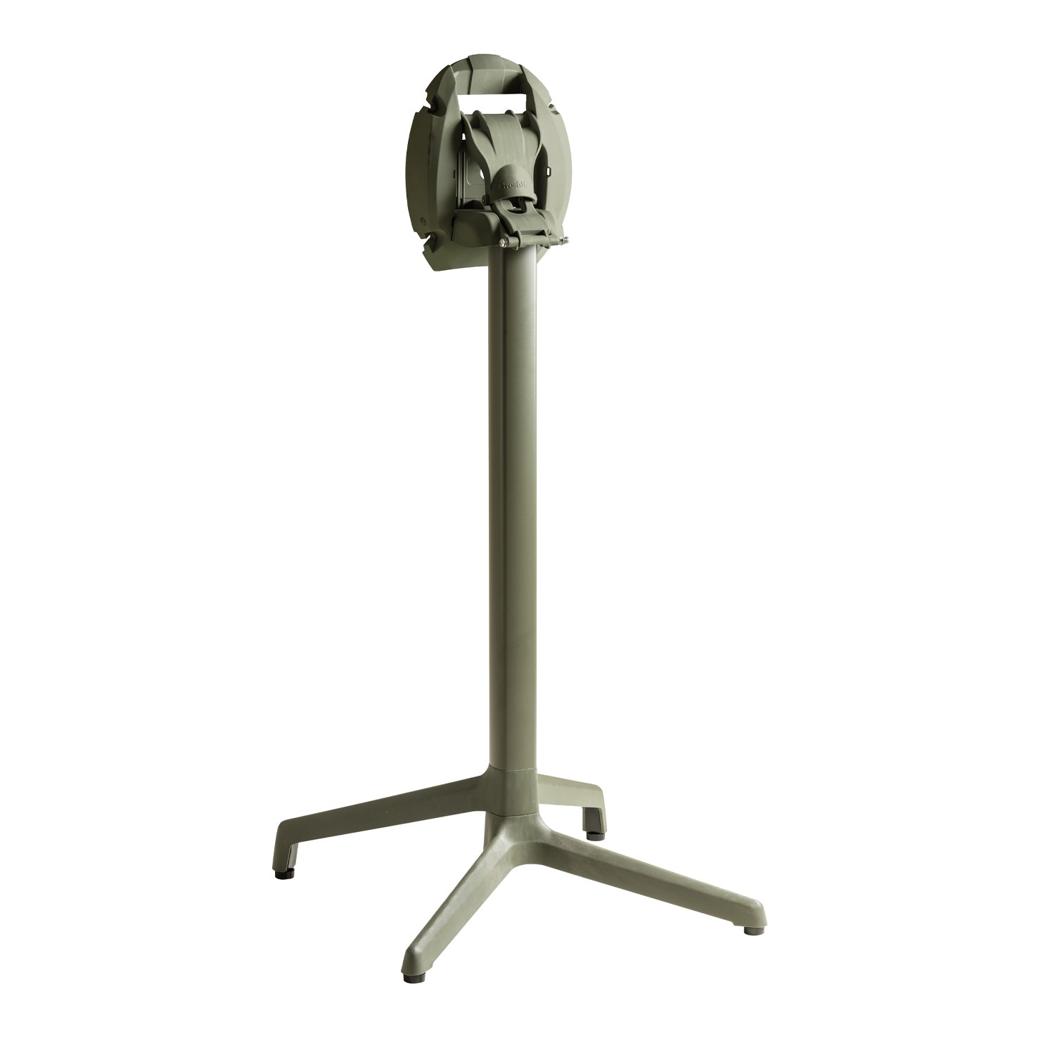 #couleur_Vert lichen