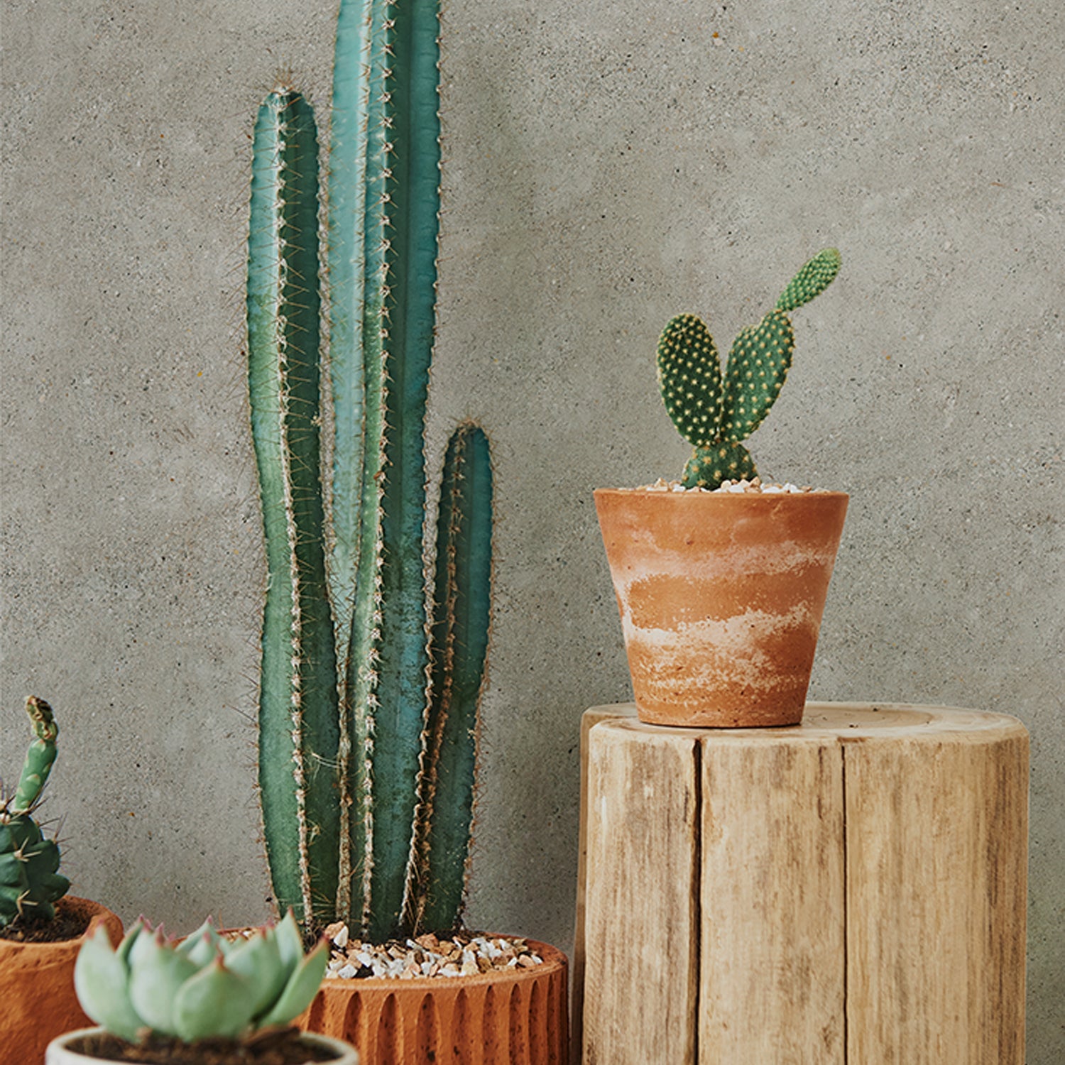 Revêtement mural Element 3D Grigio